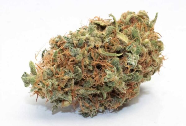 Buy Bubble Gum Kush online Switzerland,Where to buy Bubble Gum Kush in Switzerland,Order Bubble Gum Kush online Switzerland,Bubble Gum Kush for sale Switzerland ,Bubble Gum Kush online shop Switzerland,Bubble Gum Kush price Switzerland